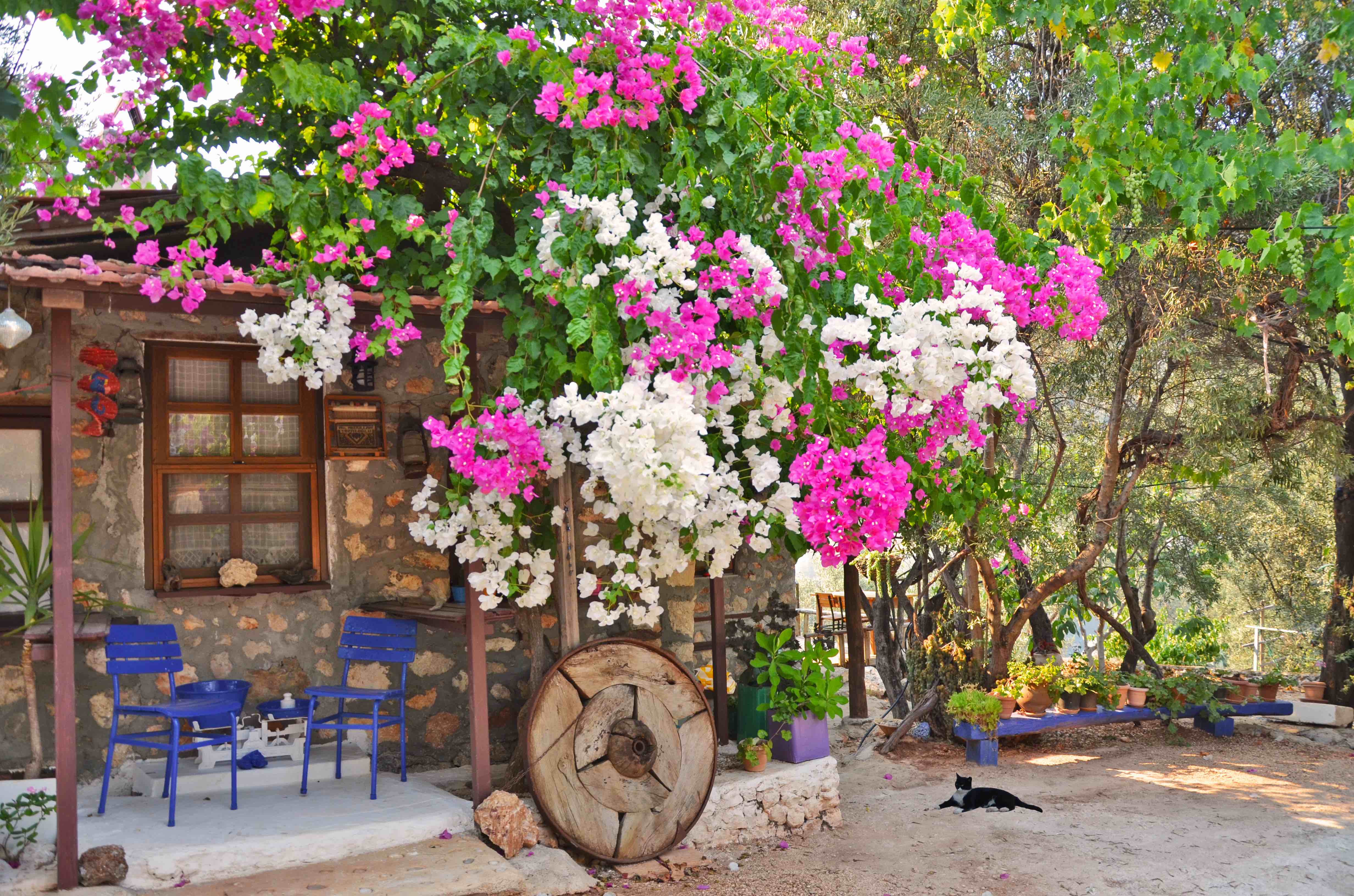 spring summer blue chairs kas kalkan bed and breakfast airbnb agoda homeaway