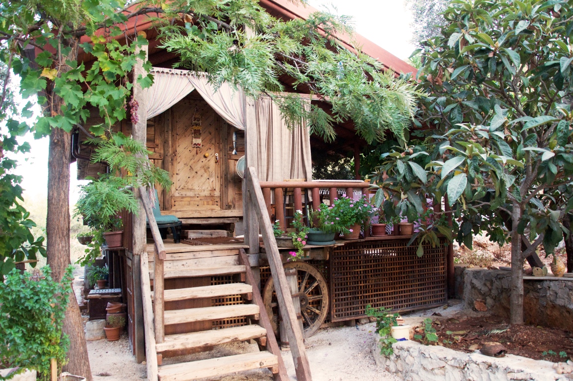 wooden treehouse greenery entrance